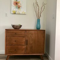 Williams 1 door on sale accent cabinet